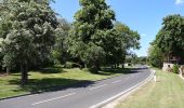 Tour Zu Fuß Nottertal-Heilinger Höhen - Rundweg Volkenrodaer Wald - Photo 3