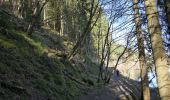 Tocht Te voet Waimes - Tour du lac de Robertville et détour jusqu'au château de RheinhardStein - Photo 5