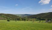 Tocht Stappen Vielsalm - rando ennal 11-05-2022 - Photo 14