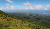 Randonnée Marche Saint-Claude - La Soufrière - Photo 19