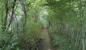 Tocht Stappen Aarschot - S-GR Hageland: Aarschot - Kortrijk-Dutsel - Photo 3