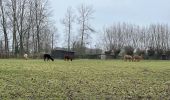 Tocht Stappen Geraardsbergen - Zandbergen 11,9 km - Photo 7