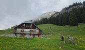 Trail Walking Le Reposoir - Col de l'Encrenaz, pour le Petit Bargy - Photo 3