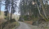 Tour Wandern Simmerath - A la découverte de Lammersdorf 🥾 - Photo 11