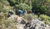 Excursión Senderismo La Garde-Freinet - Fort Freinet et les roches blanches - Photo 2