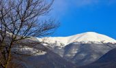 Trail On foot Guarcino - (SI O05) Campo Catino - Filettino - Photo 2