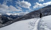 Tour Schneeschuhwandern La Condamine-Châtelard - raquettes Ste Anne la Condamine 06-03-20 - Photo 15