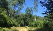 Excursión Senderismo Tintigny - La Rando du Bian: Autour de Lahage ( variante)  - Photo 14