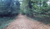 Trail Walking Liège - boncelles . la roche aux faucons retour  - Photo 11