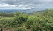 Trail Horseback riding Baztan - Elizondo - Urdax - Photo 8