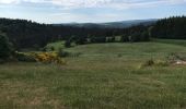 Tocht Stappen Saint-Flour-de-Mercoire - L’Herm Notre dame des neiges - Photo 12