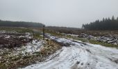 Trail Walking Houffalize - Pisserotte 151224 - Photo 19