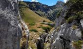 Tocht Stappen Aillon-le-Vieux - BAUGES: DENT DE ROSSANAZ - Photo 11