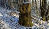 Randonnée Marche Mollkirch - Château de Guibaden - Photo 15