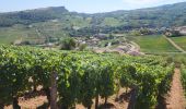 Randonnée Marche Solutré-Pouilly - roche de soluté, roche de Vergisson - Photo 9