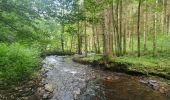 Tocht Stappen Houffalize - rando wibrin 29/07/2021 - Photo 8