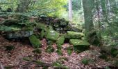 Excursión A pie Freudenberg - Liebliches Taubertal 1 - Photo 4