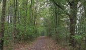 Trail Walking Heers - Mechelen - Bovelingen (Heers) - Photo 5