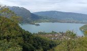 Trail Electric bike Doussard - col de Forclas tour du lac d Annecy  - Photo 16
