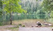 Tocht Stappen Vexaincourt - Vosges - Vexaincourt - Lac de la Maix- sentier des myrtilles  - Photo 8