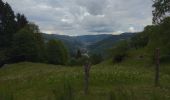 Trail Walking Cornimont - LE HAUT DU ROC JUIN 2020 - 8 JUIN 2020 - Photo 1