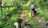 Trail Walking Herstal - SGR 412 (2ème étape) - Photo 18