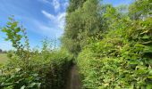 Trail Walking Zemst - S-GR Groene Gordel: Eppegem - Mollem - Photo 10