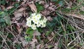 Tocht Stappen Aubignas - aubignas chenevari - Photo 2