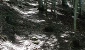 Randonnée Marche Murol - AUTOUR DU LAC CHAMBON  - Photo 20