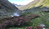 Tocht Stappen Val-Cenis - Lac Noir à Bramans  - Photo 8