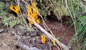 Tocht Stappen Theys - PROMENADE AUTOUR DU COL DES AYES - Photo 6