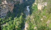 Excursión Senderismo Gorges du Tarn Causses - de St Enimie aux Vignes - Photo 3