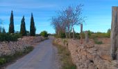 Randonnée Marche Leucate - leucate - cap des frères (sentier des bergers) -la franqui (sentier des guetteurs) - leucate (se tier des vignerons) - Photo 3