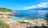 Tour Wandern Saint-Florent - De la plage de l'Ospédale  à la plage de Lotu Saint Florent Haute Corse - Photo 12