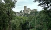 Randonnée Marche Anduze - Lacan et le château de Tornac - Photo 5