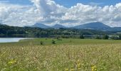 Percorso Marcia Seekirchen am Wallersee - Le tour du Wallersee - Photo 12