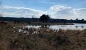 Tocht Stappen Kalmthout - Kalmthout bis 20 km - Photo 1