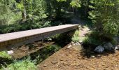 Excursión Senderismo Dourbies - La Bascule Le Ginestou La Bascule  - Photo 2