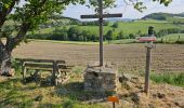 Randonnée Marche Saint-André-la-Côte - Le signal - Photo 3
