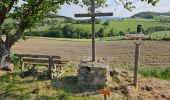 Tour Wandern Saint-André-la-Côte - Le signal - Photo 3