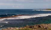 Tocht Stappen Le Moule - Anse Petite Savane - Anse à l'Eau 2 - Photo 3