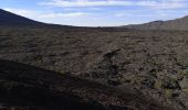 Tocht Stappen Sainte-Rose - Le Piton de la fournaise (aller)  - Photo 7