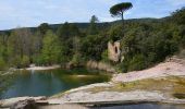 Excursión Senderismo Le Muy - Pk sur D47 - Rocher de la Fille d'Isnard - Pas du Confessionnal - Pic Rébéquier - Pont de l'Endre - Château du Rouet - Photo 3