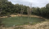 Tour Wandern Aniane - Pont du diable - Eglise Saint-Sylvestre - Lavene (Puéchabon) - Pioch de la Bastide - Photo 18