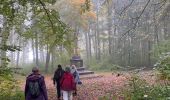 Tocht Stappen Beauraing - Wancennes - Photo 12