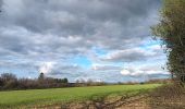 Trail Walking Ferrières - entre Jehonhé et La Fagne  - Photo 14