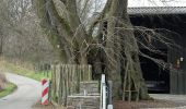 Excursión A pie Desconocido - Rundweg A4 Asmeckeweg (Dahl) - Photo 5