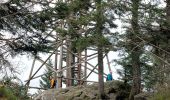 Excursión Senderismo Gérardmer - Tour de Merelle et saut de la Bourrique - Photo 3