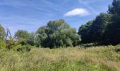 Trail Walking Jemeppe-sur-Sambre - Bois des masures, longée de la Petite-Sambre - Photo 1