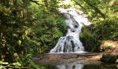 Tour Wandern Le Val-d'Ajol - Cascade de Faymont - Photo 11